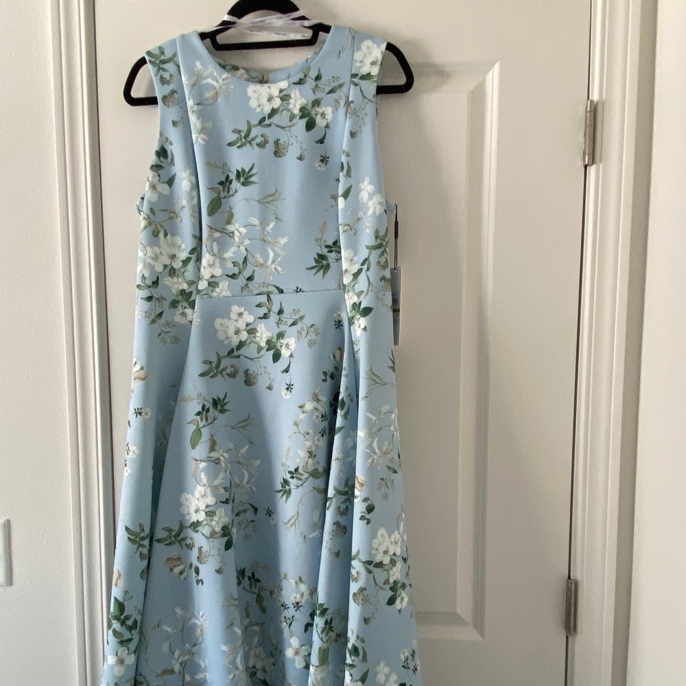 Blue with Floral Print A-line Dress